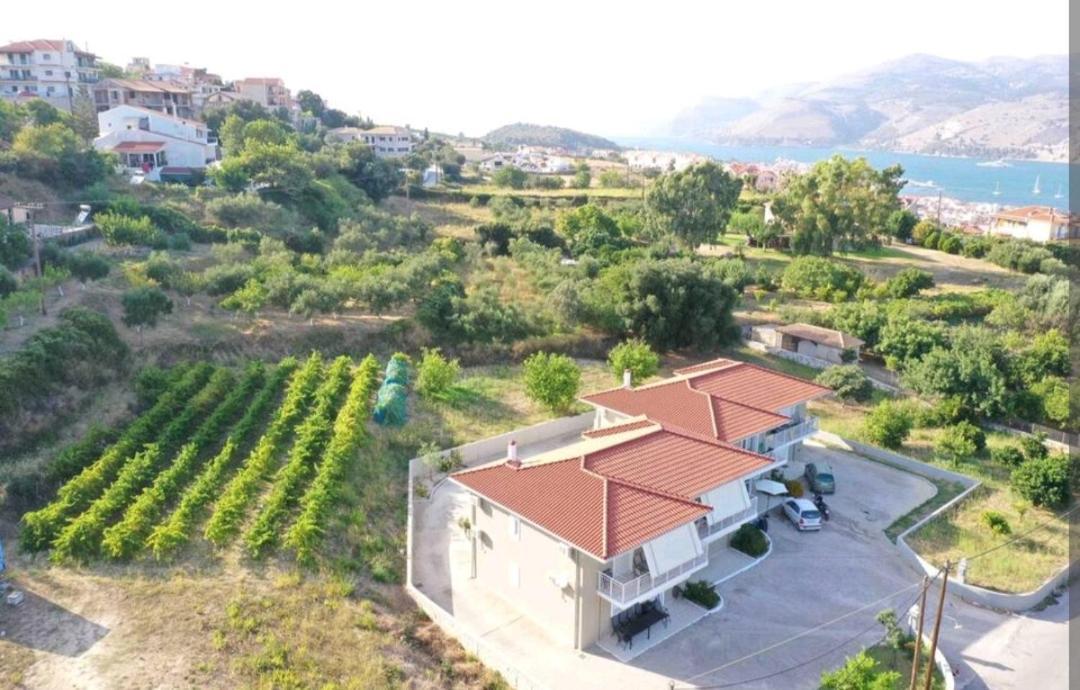 Lagadi Apartment 6 Lassi (Kefalonia) Exterior foto
